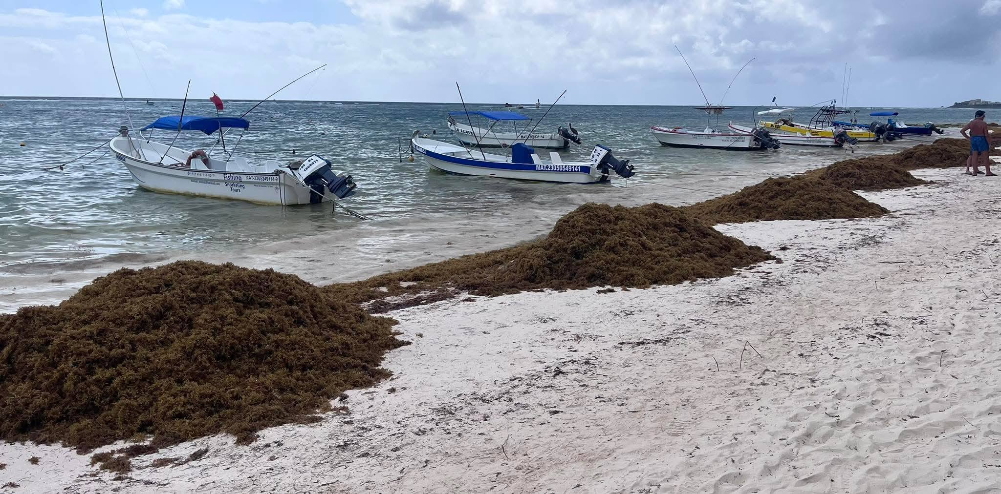 Sargassum Warning: Record-Breaking Season Forecasted for Cancun