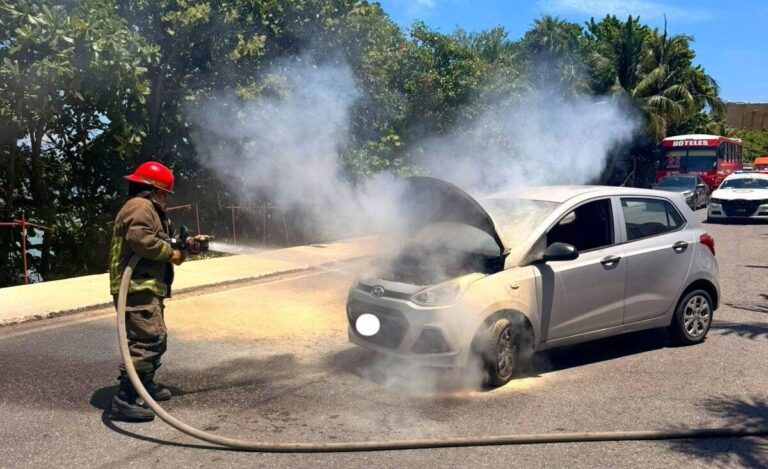 Cancún Daily Crime Report — 14/05/2026
